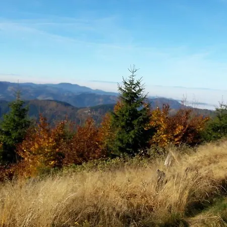 Schwanen Фройденштадт