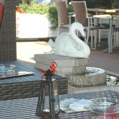 Schwanen Hotel 3*
